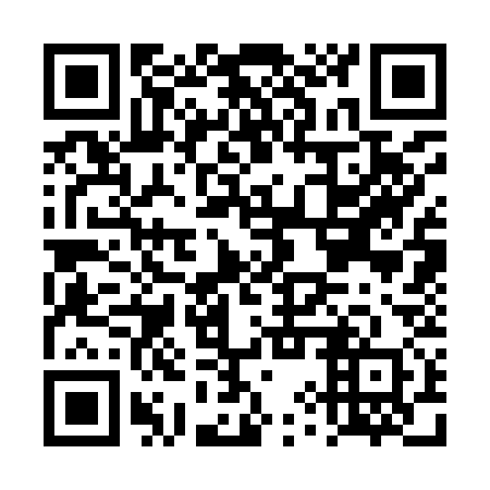 QR code for plate DYS 930