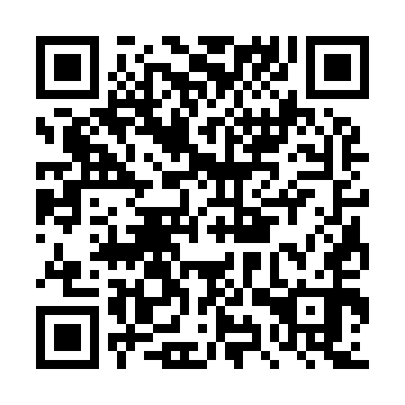 QR code for plate DYS 950