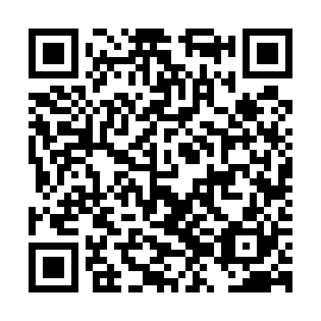 QR code for plate DZF 520