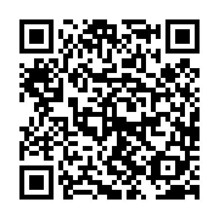 QR code for DZP449