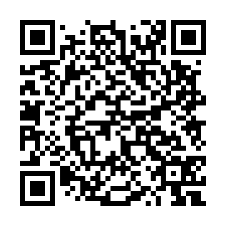 QR code for DZP534