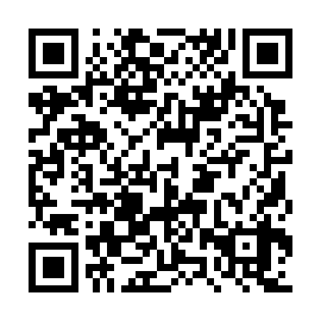 QR code for DZQ 338