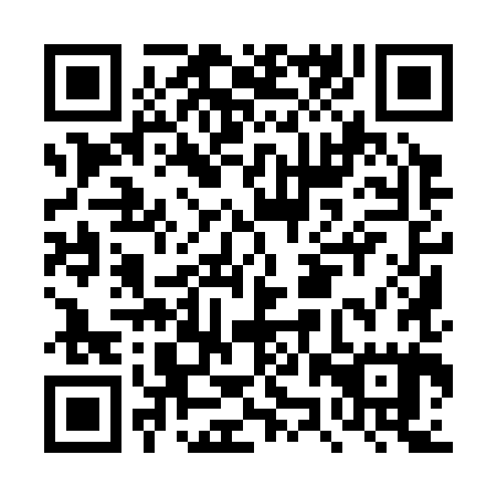 QR code for plate DZY 385