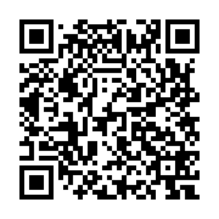 QR code for plate EFB 968