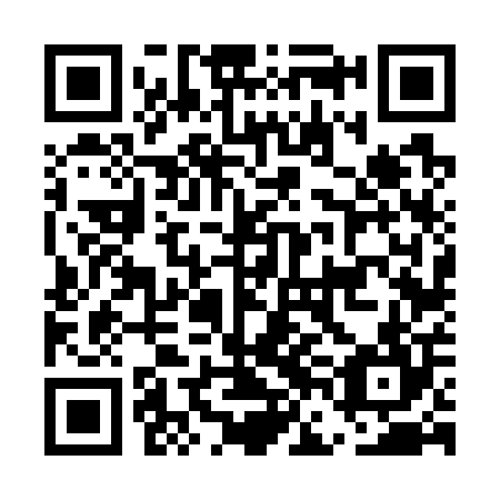 QR code for plate EFF 704