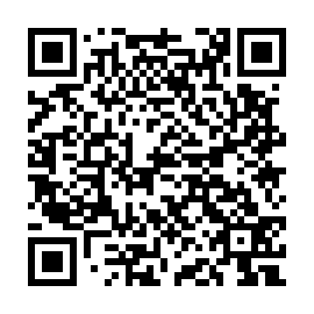 QR code for plate EFQ 533