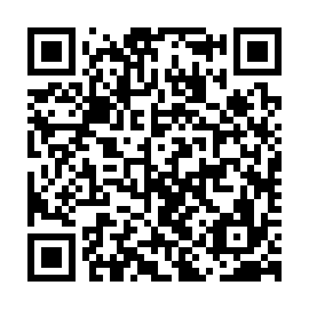 QR code for EIR 336