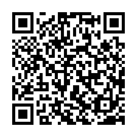 QR code for plate EJP 333