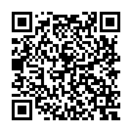 QR code for plate ELY 965