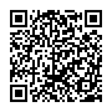 QR code for plate ENZ 553