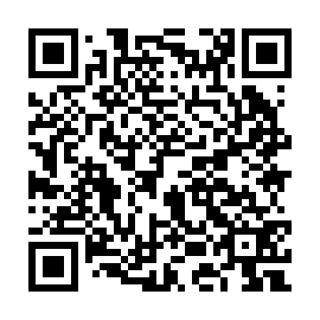 QR code for FEI 272