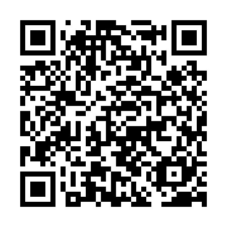 QR code for FEI225