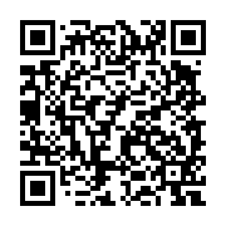 QR code for plate FET 493