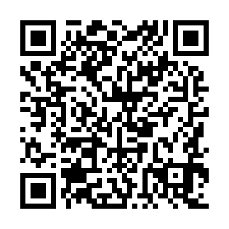 QR code for FFH 991