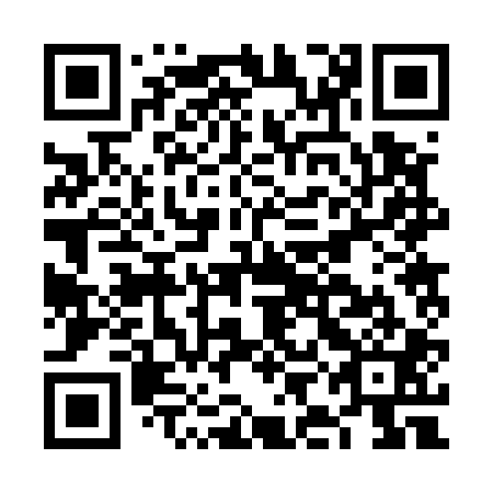 QR code for FIB 501