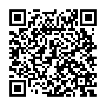 QR code for plate FIZ 328