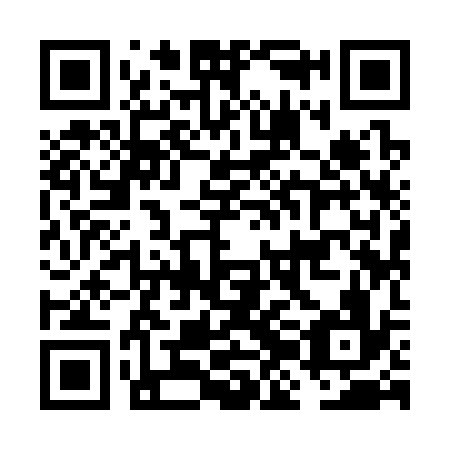 QR code for FJI 336