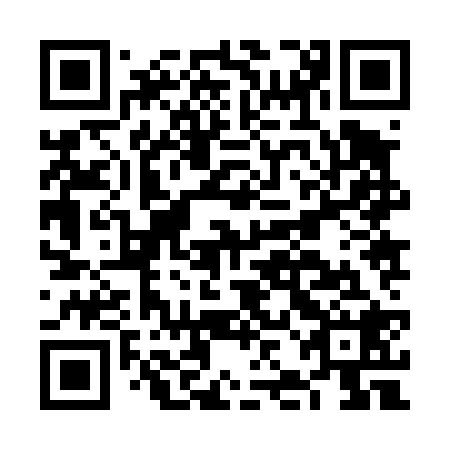 QR code for plate FJJ 428