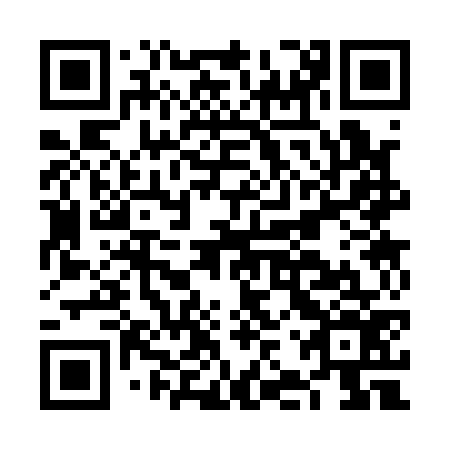 QR code for plate FJS 176