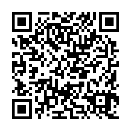 QR code for FKI385