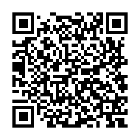 QR code for plate FLF 920