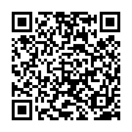 QR code for FLU 413