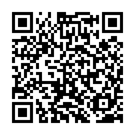 QR code for plate FMI 595