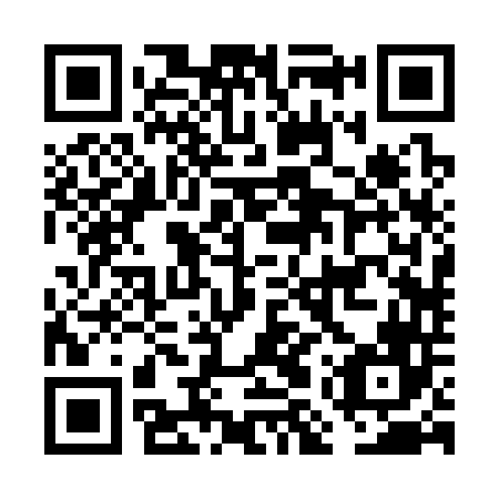 QR code for plate FMR 346