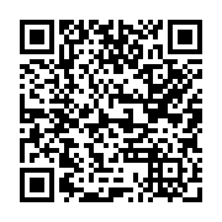 QR code for FOO 382