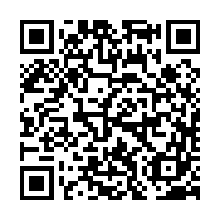 QR code for plate FOR 163