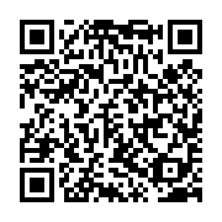 QR code for FPV 499