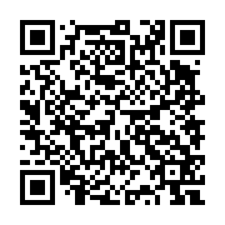 QR code for plate FRN 462