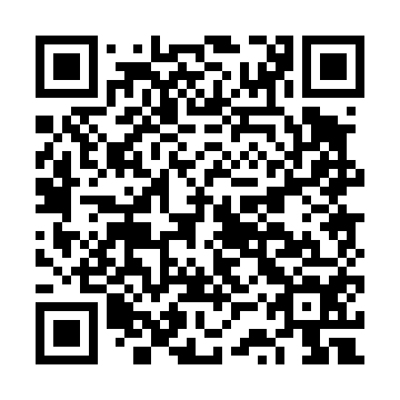 QR code for FSP 454