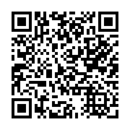 QR code for plate FTV 111