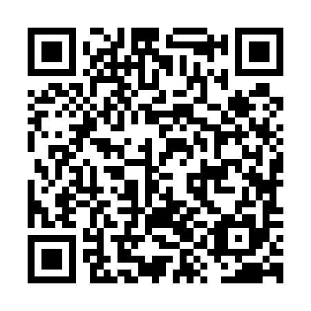 QR code for FYJ 595