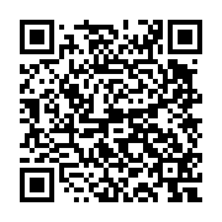 QR code for GAO413