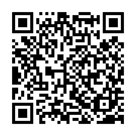 QR code for plate GBM 483