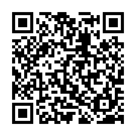 QR code for GDL 294