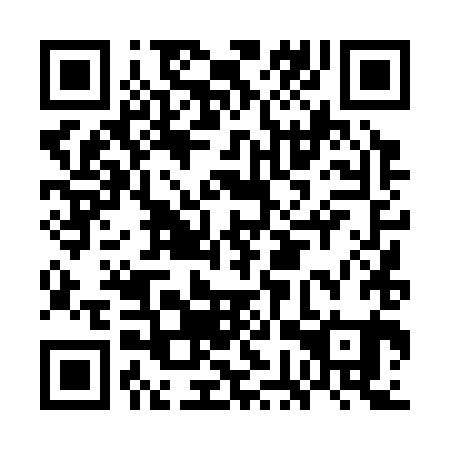 QR code for GGT381