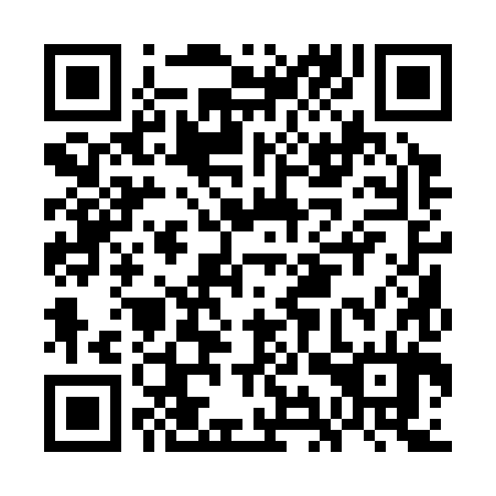 QR code for GIQ 384