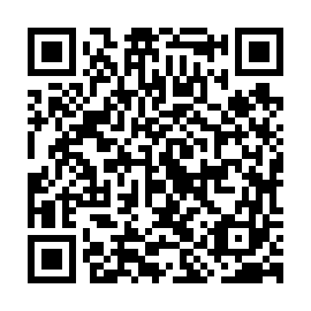QR code for plate GIZ 663