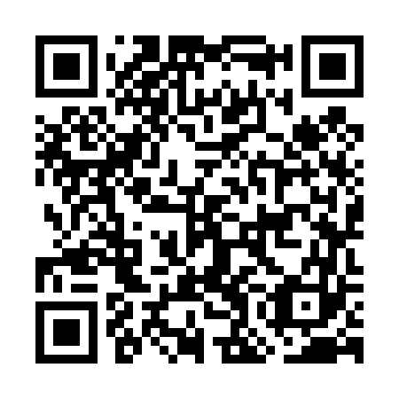 QR code for plate GOK 463
