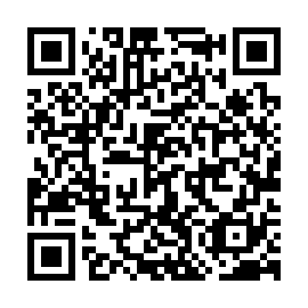 QR code for GOL370