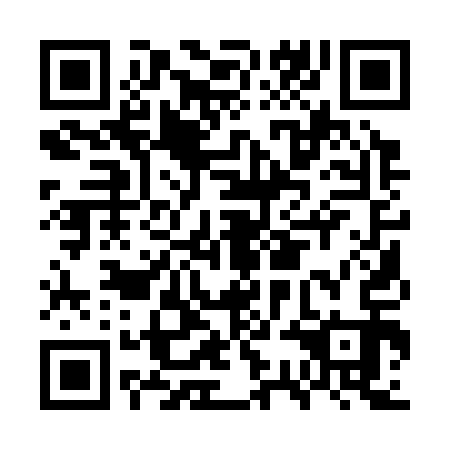 QR code for GSA313