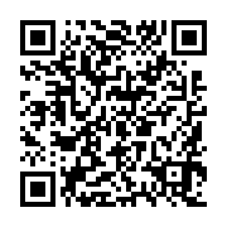 QR code for GSI 690