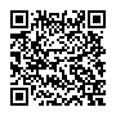 QR code for plate GSN 533
