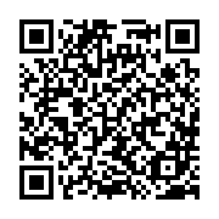 QR code for plate GSX 382