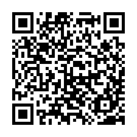 QR code for GUB 384