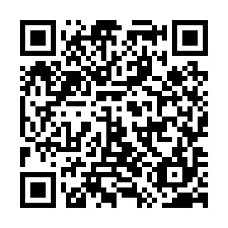 QR code for plate GUO 294
