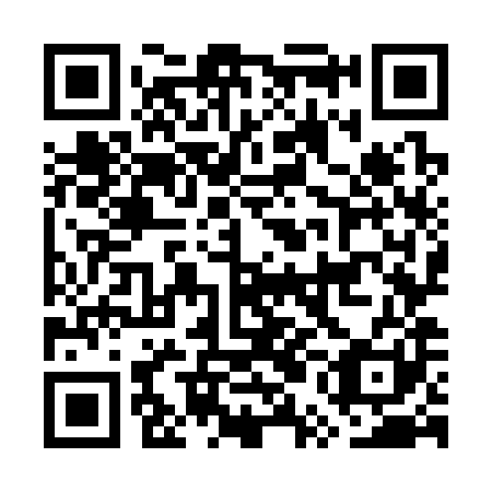 QR code for GUO381